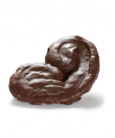 Palmera de cacao